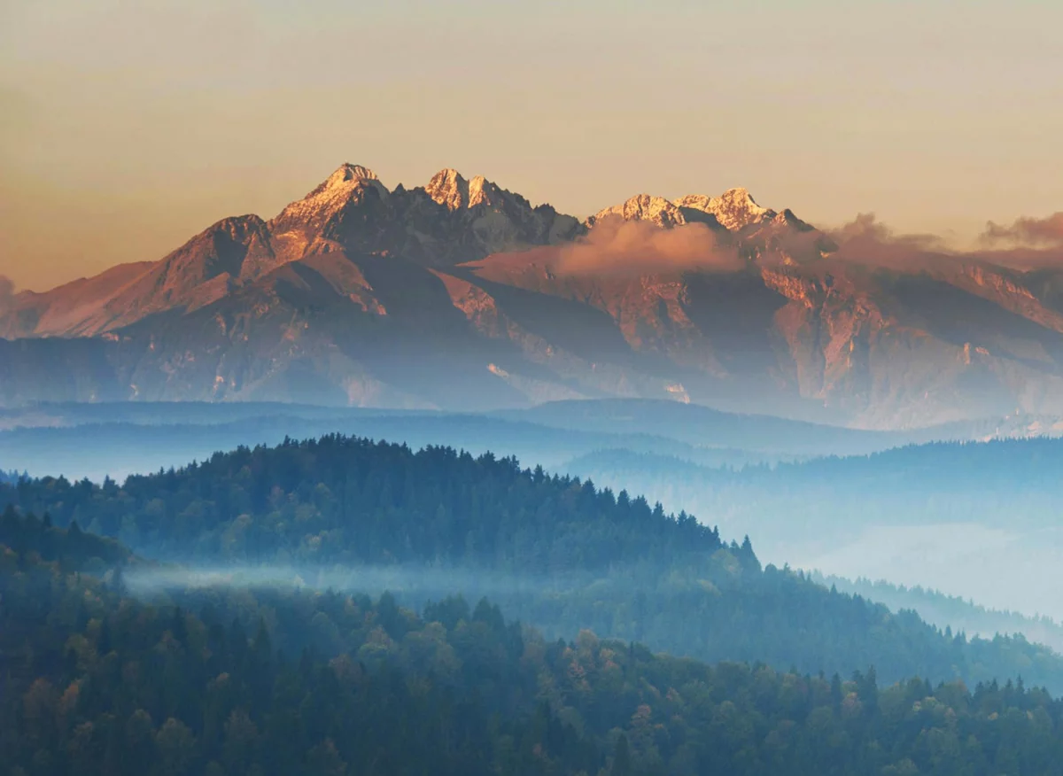 Nigdy Nie Rób Tych 7 Rzeczy Jeśli Chcesz wykonać odbiór elektroodpadów w Białymstoku