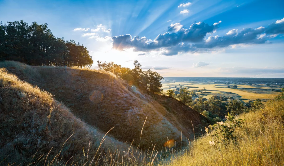 Jak zrobić dobrą kawę