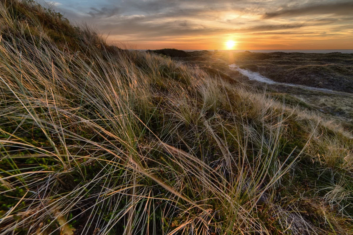 sprzedać firmę? Jak ekspert!