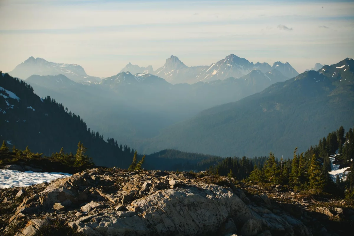 UWAGA! Nie Kupuj Nic Aby reklamować się Zanim Nie Przeczytasz Tego!