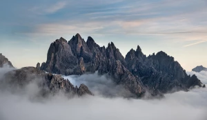 portal o medycynie jak mistrz!